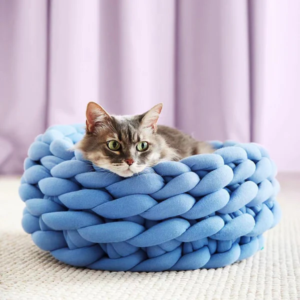 Panier Chat Osier Catgrip