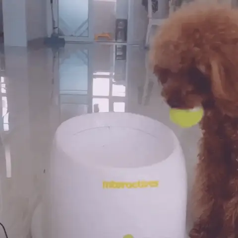 lanceur-de-balle-pour-chien-fonctionement